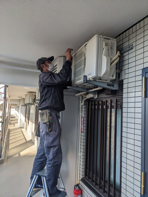 PXL_20230220_053247365