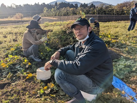 PXL_20221119_052600925