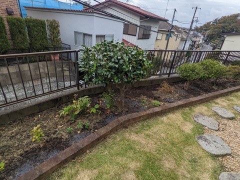 PXL_20221129_032354373