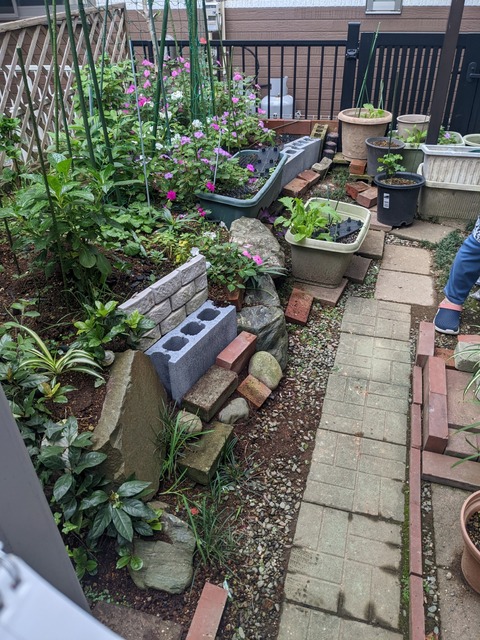 PXL_20221018_000742987