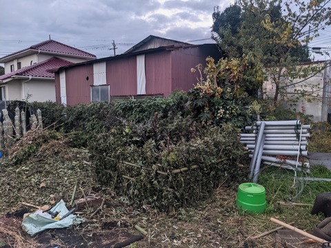 PXL_20221115_074527666