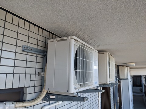 PXL_20230221_013326712