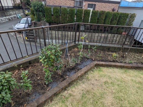 PXL_20221129_032349902