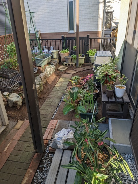 PXL_20221119_002457434