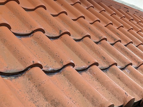 PXL_20230331_052749586