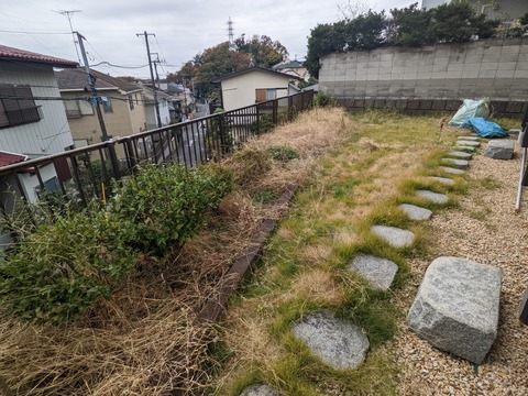 PXL_20221128_000330377