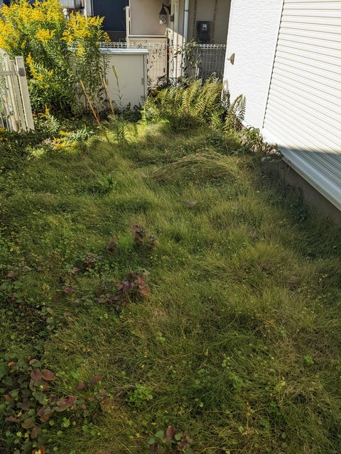 PXL_20221026_035803685