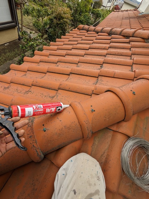 PXL_20230331_041321174