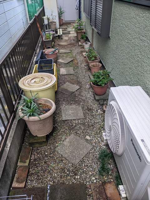 PXL_20221018_000727167