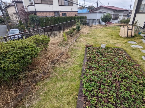 PXL_20221128_000237065