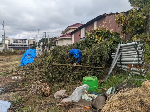 PXL_20221115_044728222