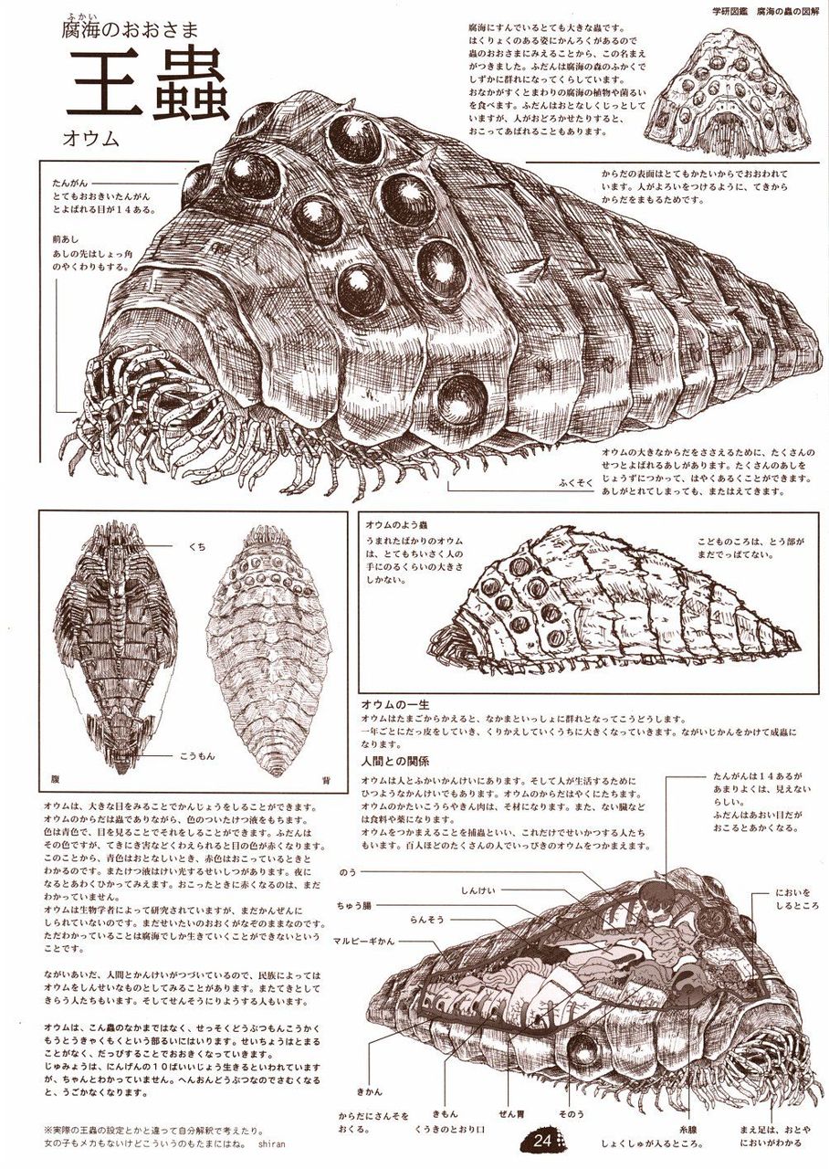 王蟲 図説 便利な画像