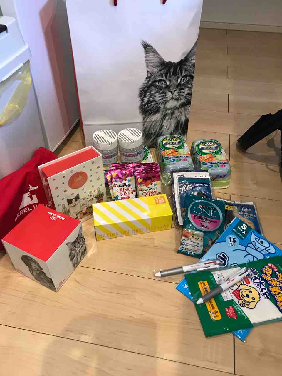 わんにゃんドーム2018でお買い物 猫のベンタとあおりんご