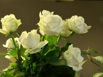 四十本の白い薔薇