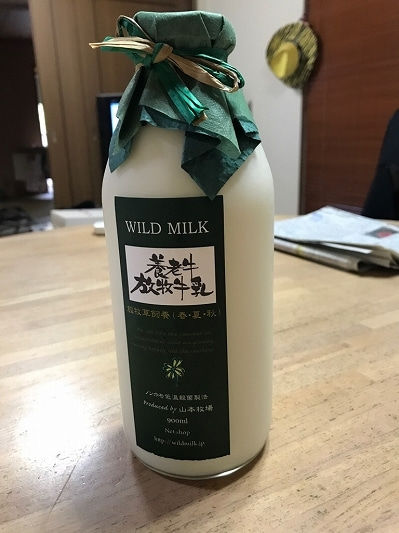 養老牛放牧牛乳