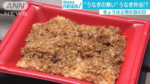 うなぎの無いうなぎ弁当