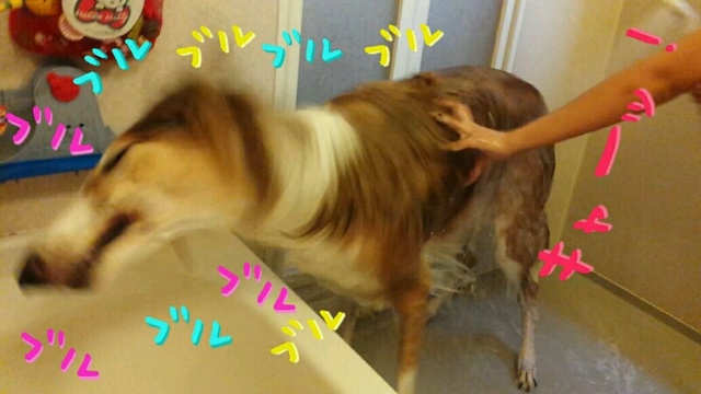 0206410f.jpg