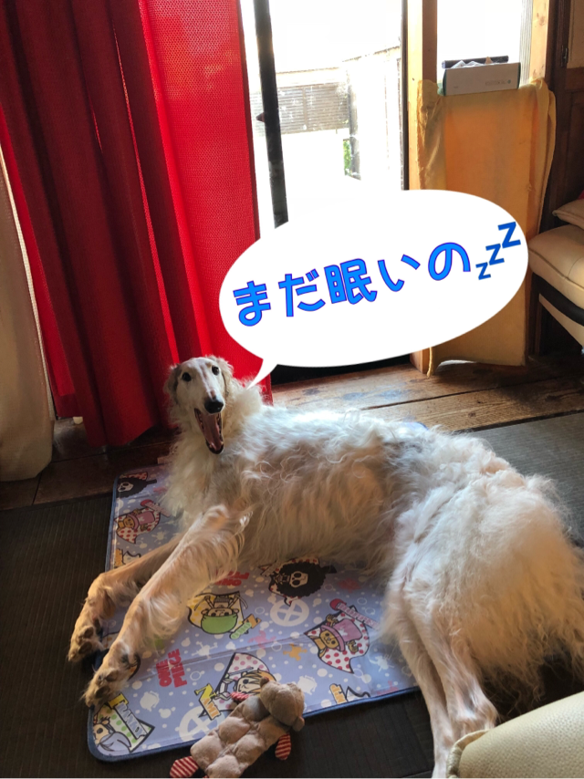 05e0539b.png