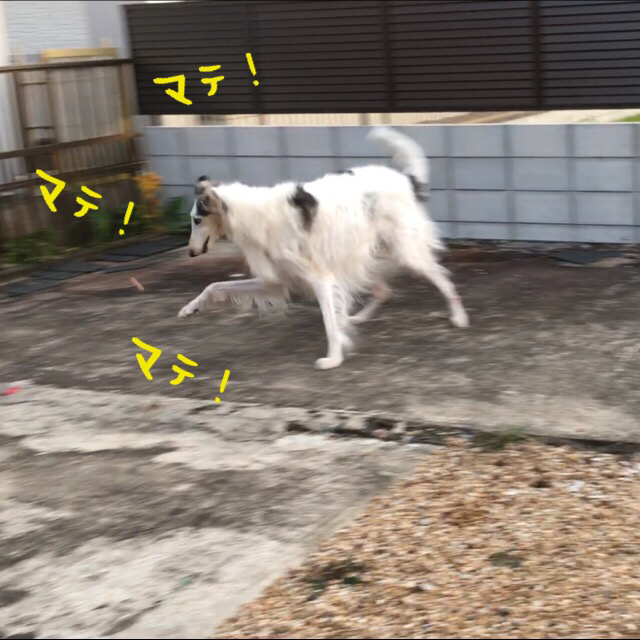 0a414256.png