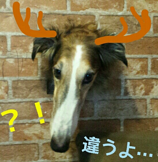 0f237fc5.jpg