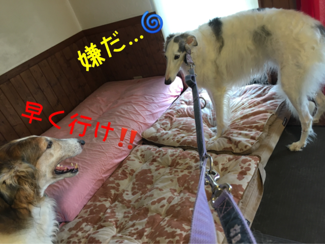 1278c9a9.png
