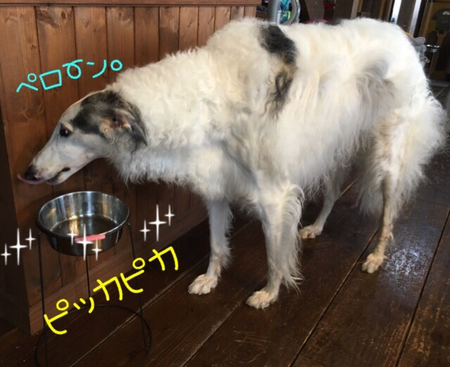 14cd58ba.png