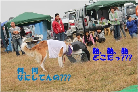 1a5484d8.jpg