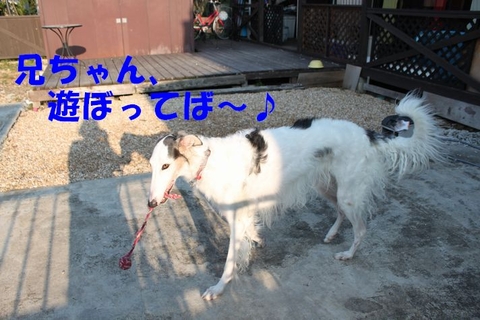 1b5e8d80.jpg