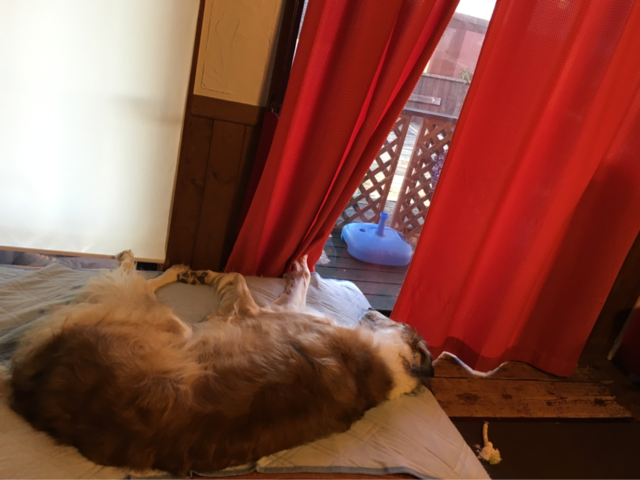 1ba8a3f0.png