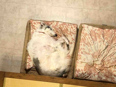 FullSizeRender