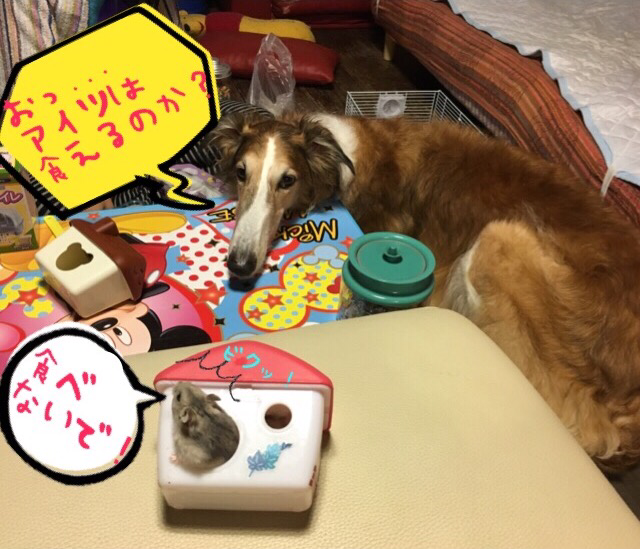222f06aa.png