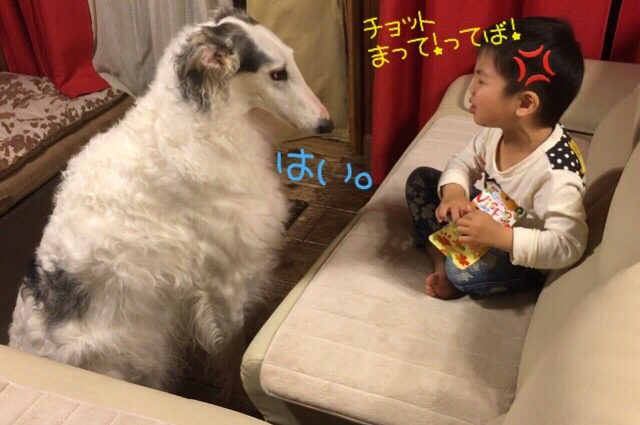 287e5f3e.png