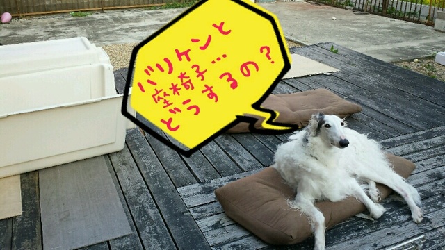 28c0fea4.jpg