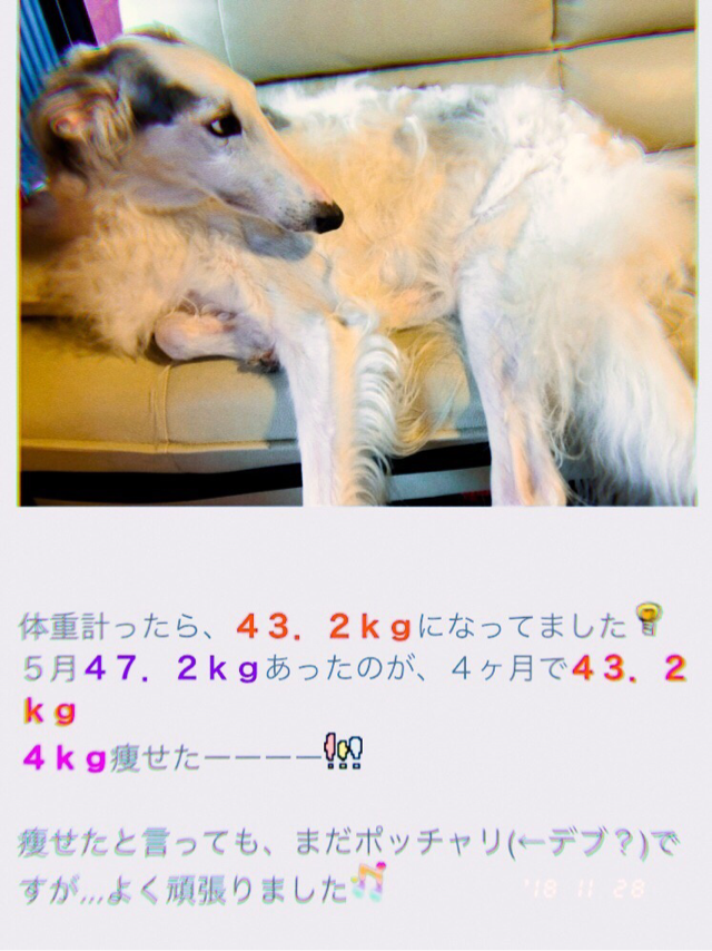 2d08ab7a.png