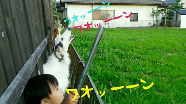 33b2d171.jpg