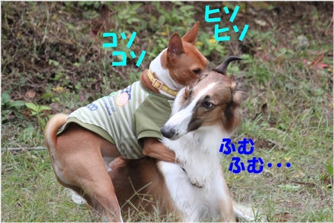 34d73e5e.jpg