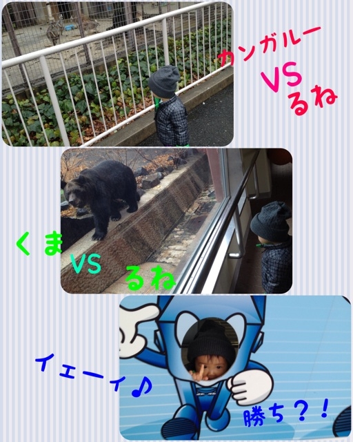3b543756.jpg