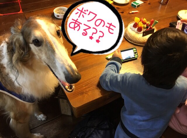 42ef8670.png