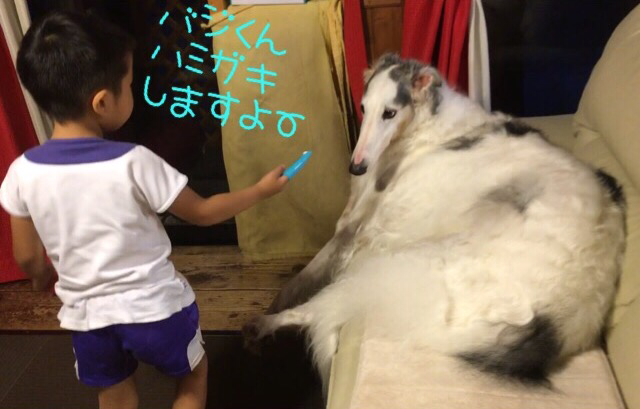 4ab552de.png
