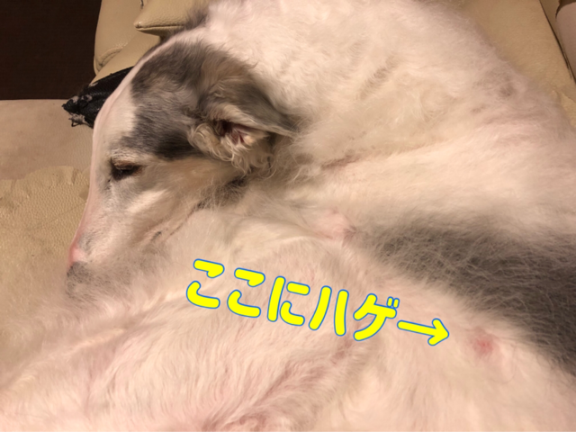 4b000b97.png