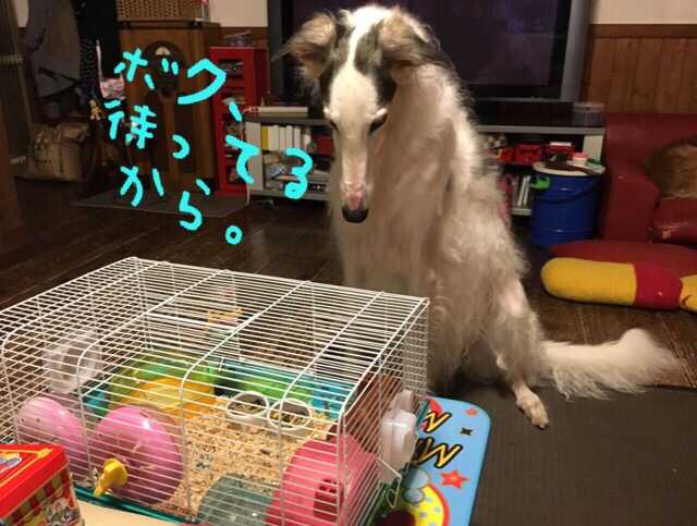 4c383aa6.png