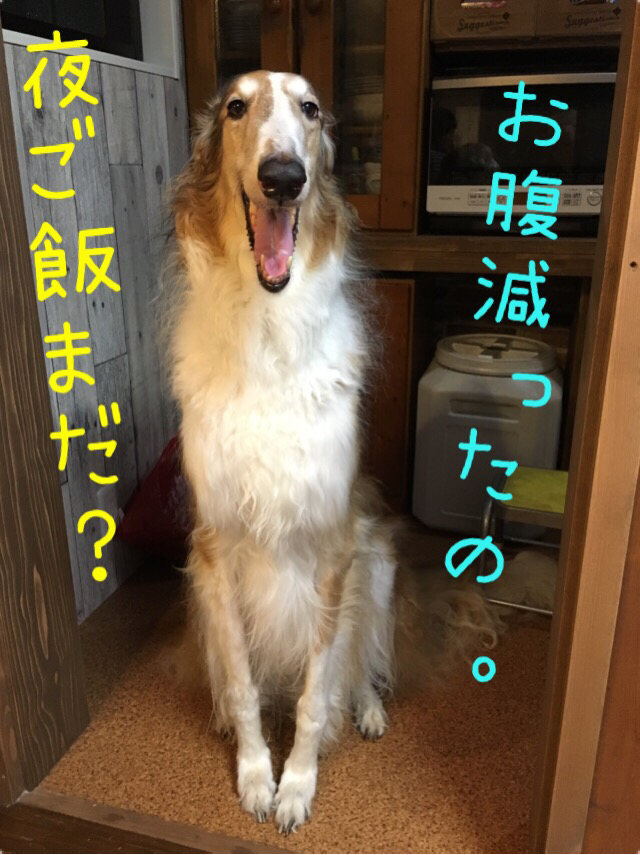 4c629138.png