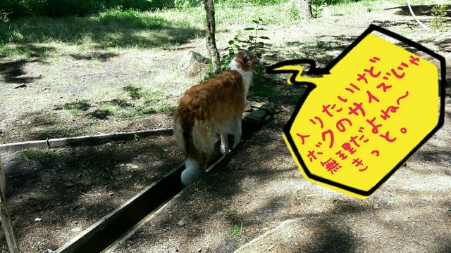 4fcff007.jpg