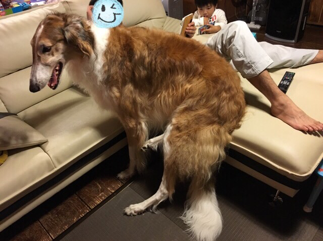 54aa1133.png