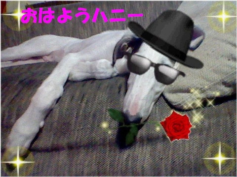 57d45c4d.jpg
