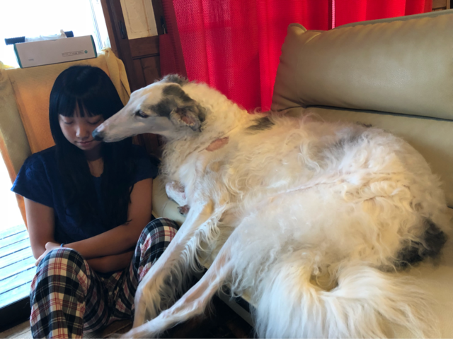 5c07f105.png