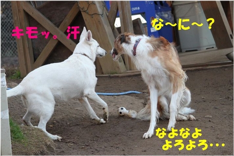 5f7f749a.jpg
