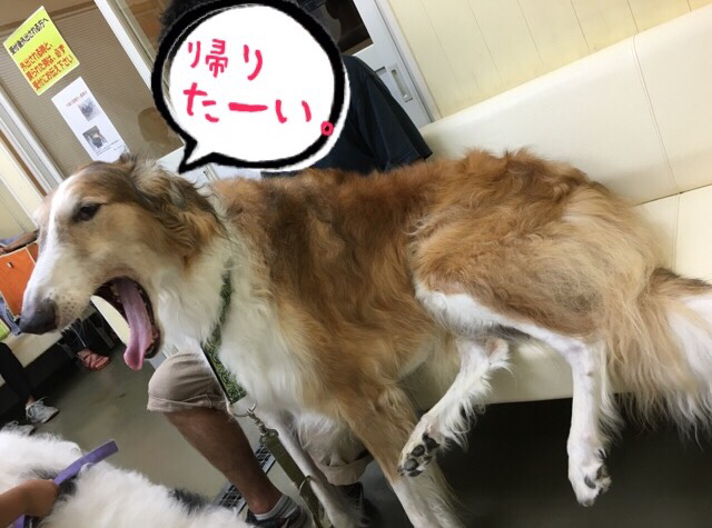 60933887.png