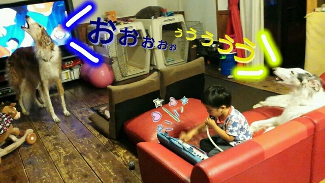 60d53b3a.jpg