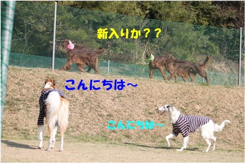 63c0af35.jpg